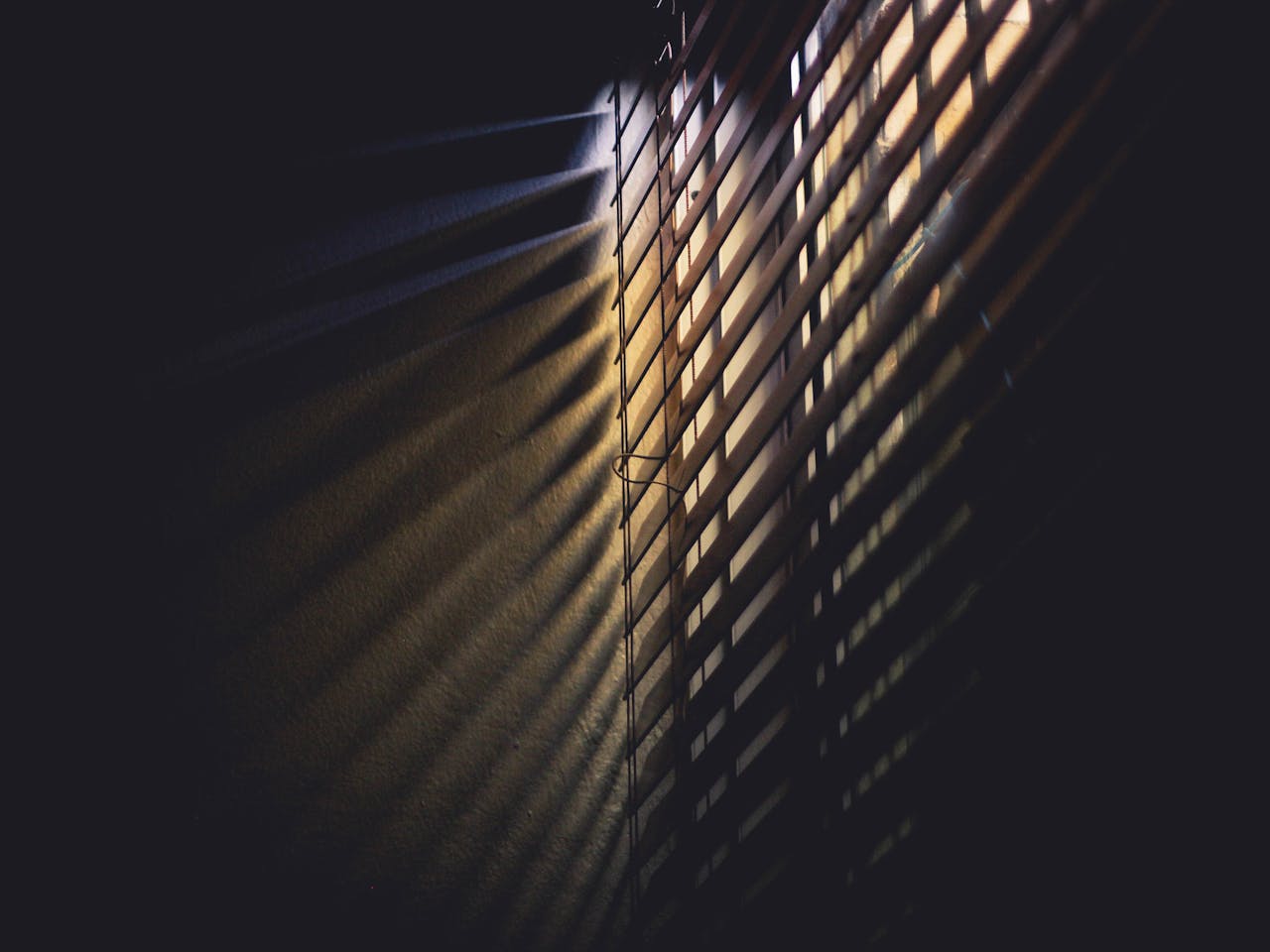 Dramatic light and shadows cast through window blinds, creating a moody atmosphere.