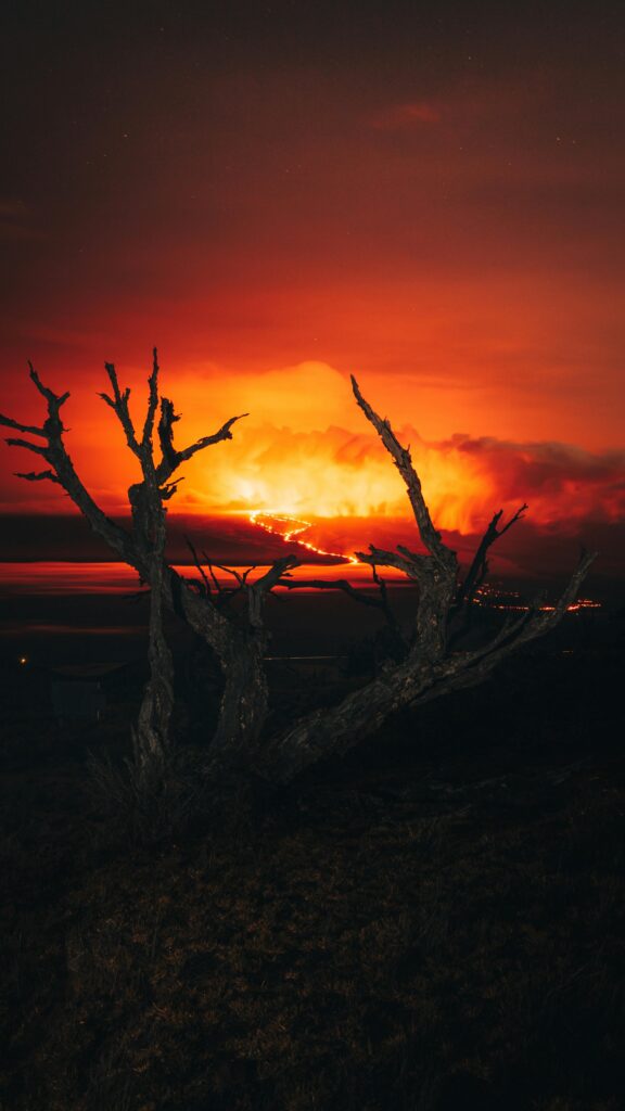 Dramatic volcanic eruption glowing at night with silhouetted barren tree in foreground.